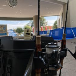 服部緑地そこそこ釣れます。