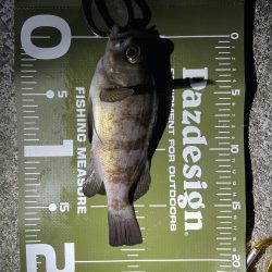 防寒対策しっかりしよう