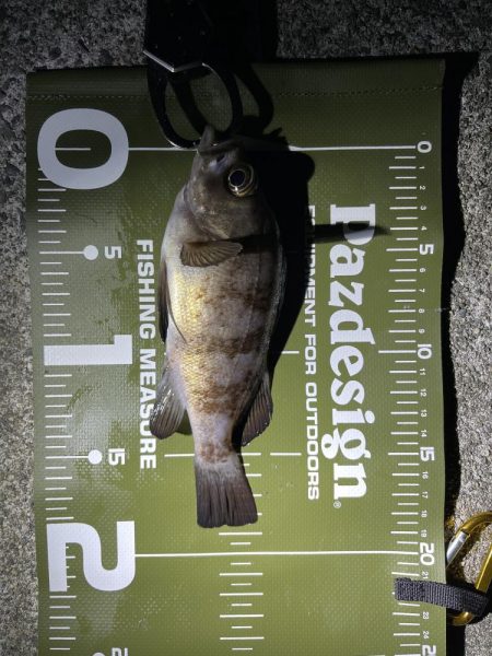 防寒対策しっかりしよう