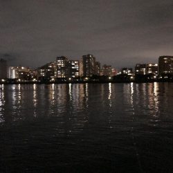 良型太刀魚連発