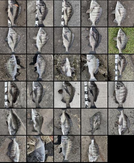 イチノ兄弟、釣果！