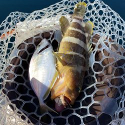 マイボートで若狭湾でジギング、タイラバ釣行