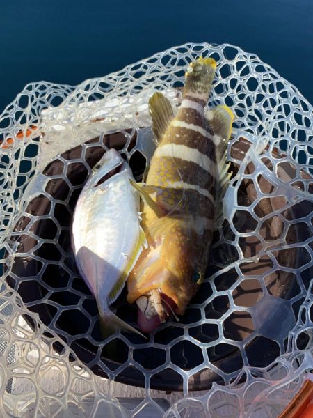 マイボートで若狭湾でジギング、タイラバ釣行…