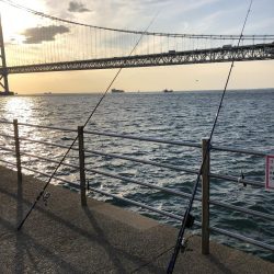 太刀魚に逢いたくての釣行です。