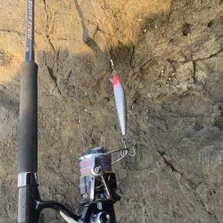 ショア　ブリ&ワラサ　トライデント150/60g