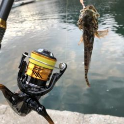 お魚ロッドでガッシー