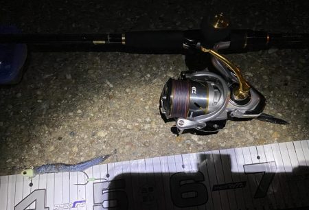 湾奥まで入ってきましたね