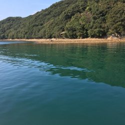 たかたかの釣り日記