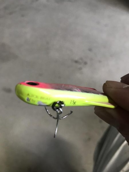 産卵前の荒食いやね