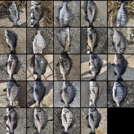 イチノ兄弟、釣果！