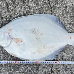 座布団カレイ 記録更新!