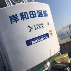 サワラにメジロも