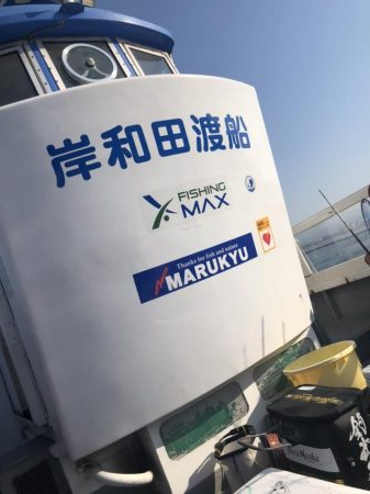 サワラにメジロも