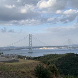 餌取りめちゃおるやんっ>* ))))><