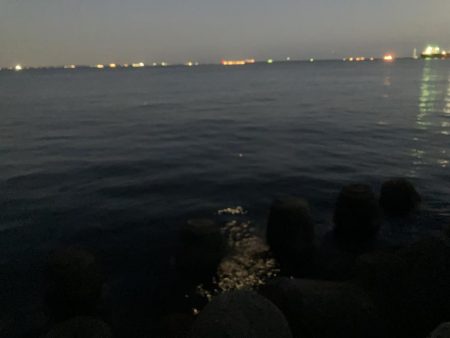 名古屋港でセイゴ釣り