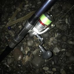 投げサビキでマダイGET