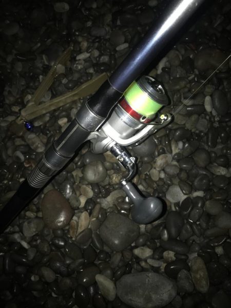 投げサビキでマダイGET