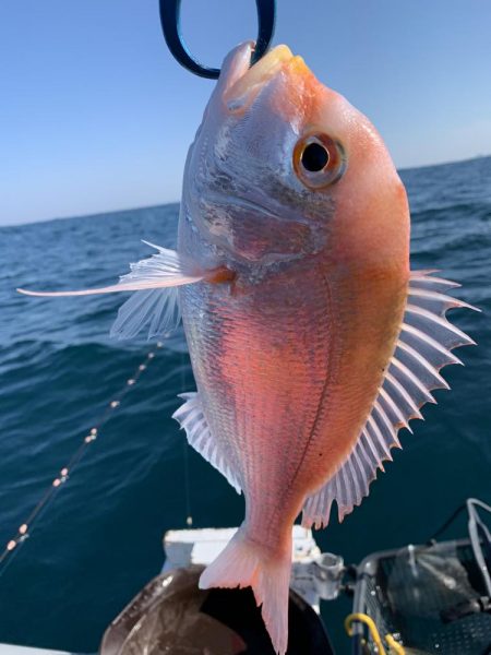 シケの合間にアマダイ狙い