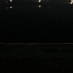 良型太刀魚連発、青物も居た