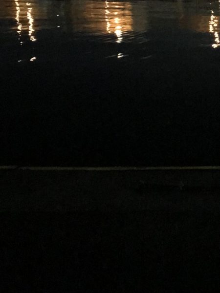 良型太刀魚連発、青物も居た