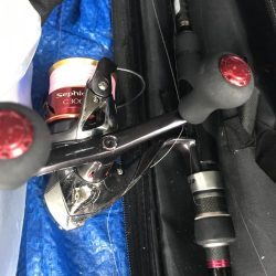 朝マズメに尺アジGET