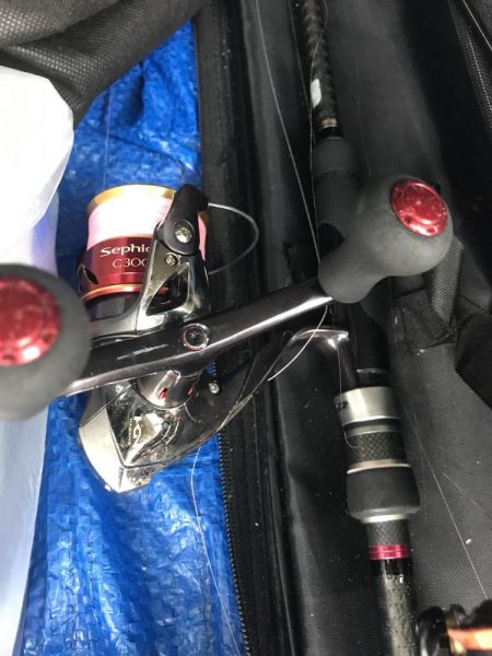 朝マズメに尺アジGET