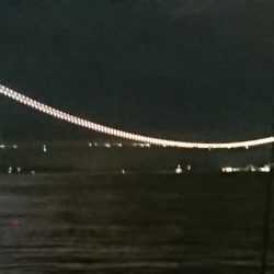 納得のサイズ！