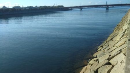 やっと来ました‼モンスター