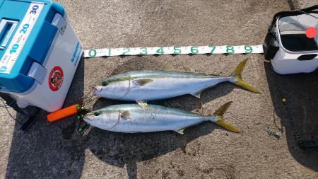 またまた自己新！