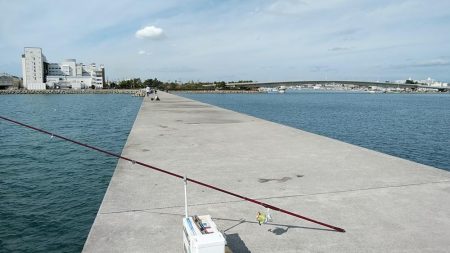 東二見でデカギスが釣れました