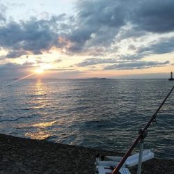 久々に爆釣しました