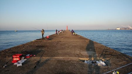 播磨新島のキス調査