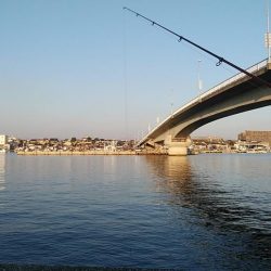 東二見のキス調査