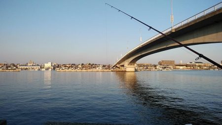 東二見のキス調査