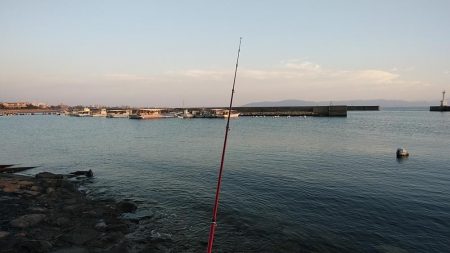 江井ヶ島のキス復活か!