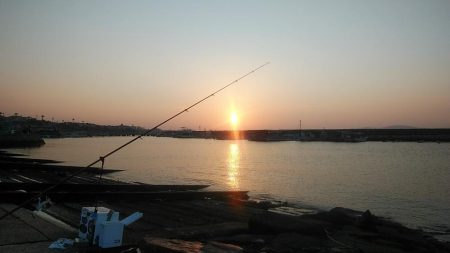 良型キスとハゼが釣れました