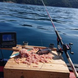 久々の2馬力ボート釣り