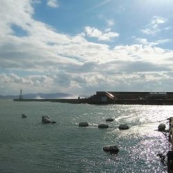 強風の江井ヶ島釣行