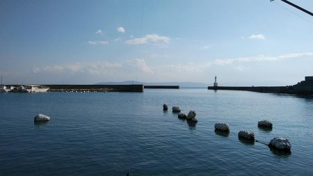 東二見のウミネコにキスを与えて来ました