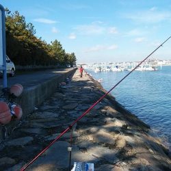 東二見のキス調査