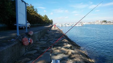 東二見のキス調査