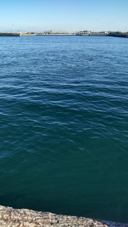 青物、太刀魚不発もマイクロ根魚