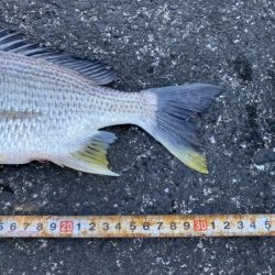 やっぱりここが最強堤防かなぁ〜