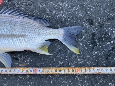 やっぱりここが最強堤防かなぁ〜