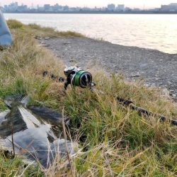 太刀魚とヒラメが釣れました