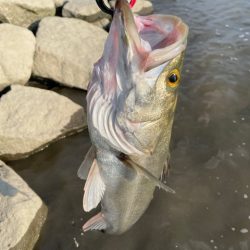 秋のシーズン突入かな？