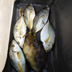 フカセ‥最高ですネ・・