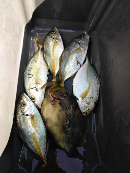 フカセ‥最高ですネ・・