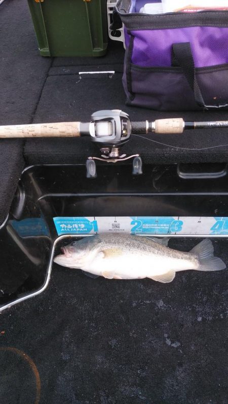 北山田50~37cm７本