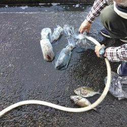 フカセ‥最高ですネ・・